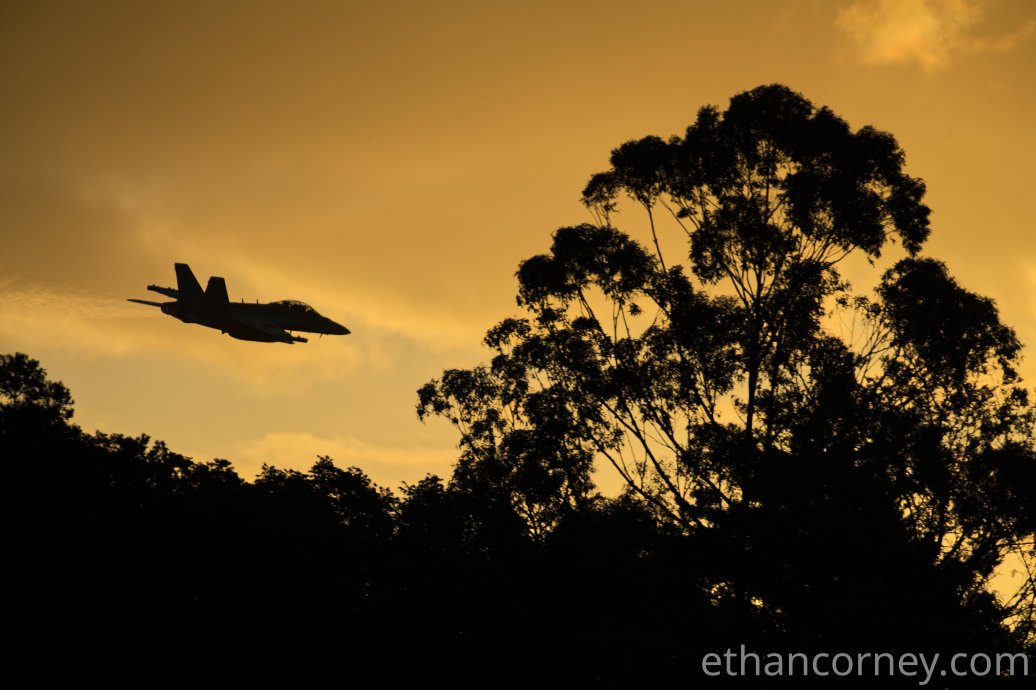 growler