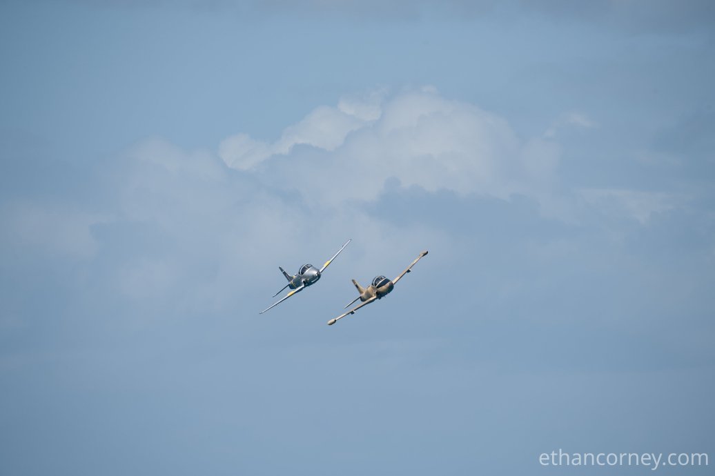 vipers