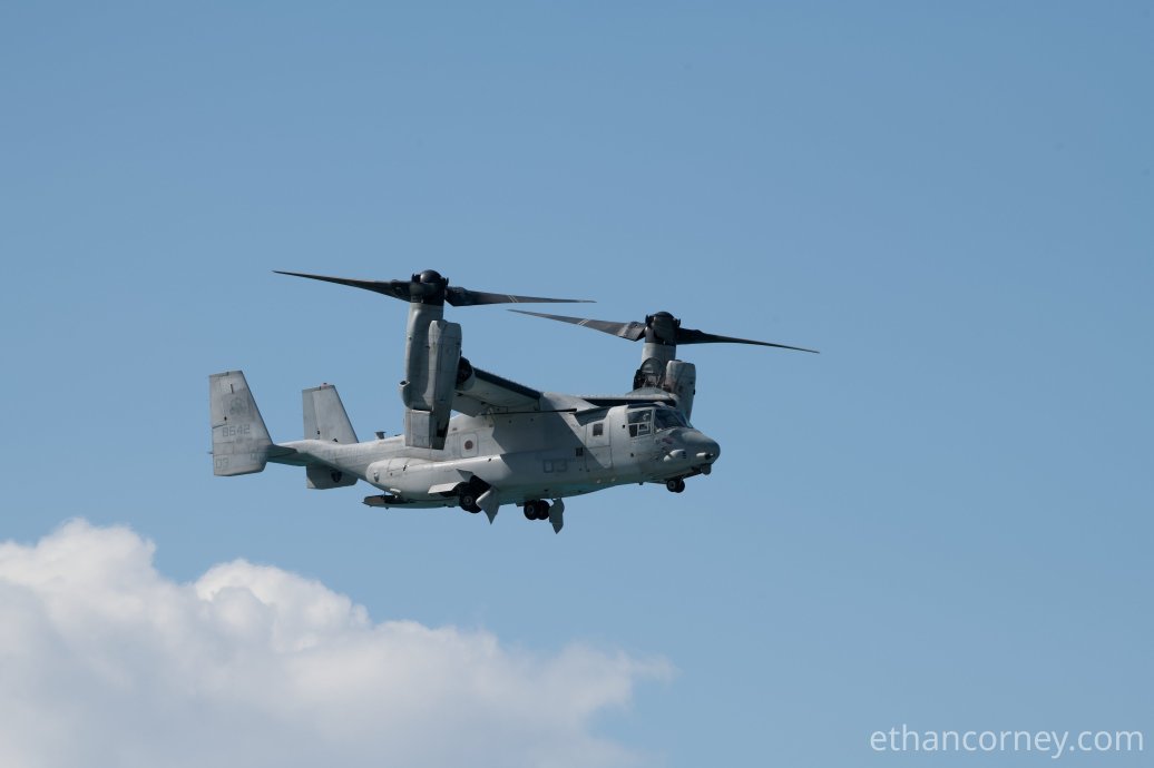 Osprey_1