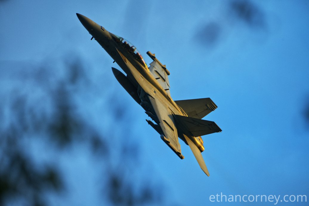 growler