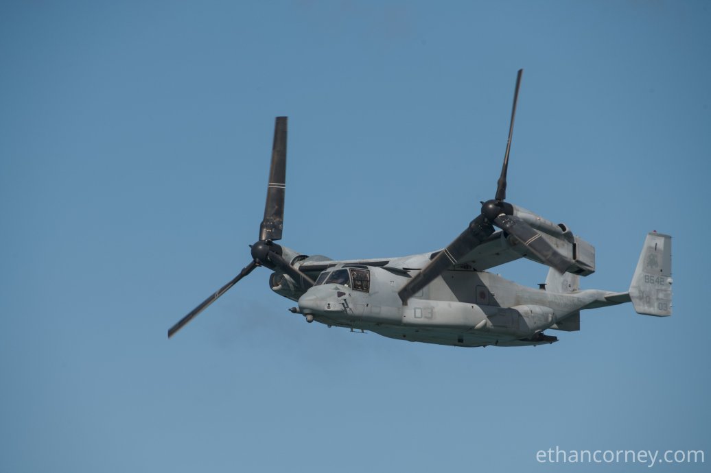 Osprey_3